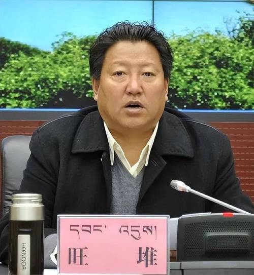 广西壮族自治区党委组织部分管日常工作的副部长崔佐钧接受审查调查