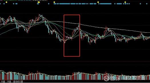大反攻之后迎来几大利好!下周行情稳了?——道达对话牛博士