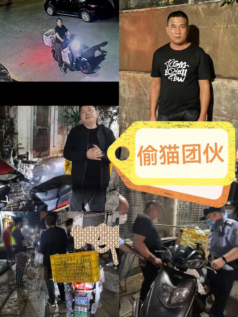 广东肇庆查处一处违法屠宰猫只窝点，涉案人员接受警方调查