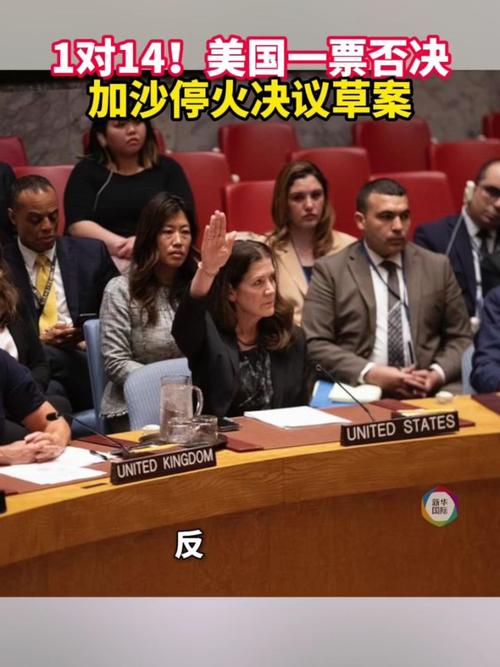 美国再次一票否决安理会加沙决议