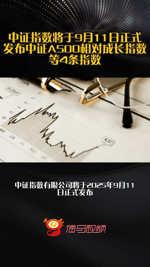 中证A500指数发布一周年！汇聚行业龙头力量，筑就时代标杆典范