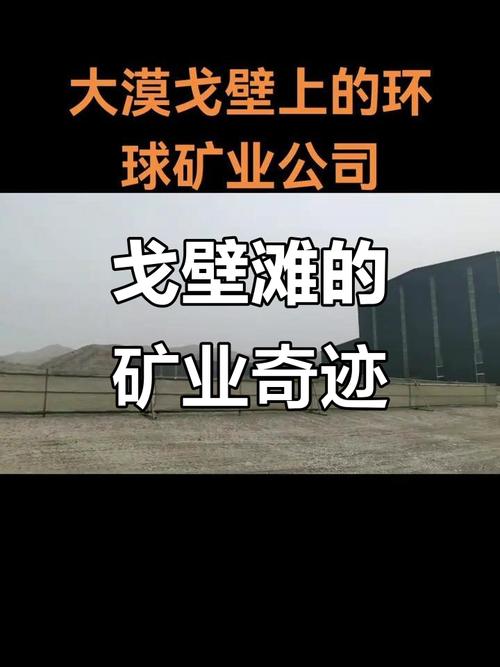 哈德湾矿业因社会动荡暂时关闭其秘鲁选矿厂