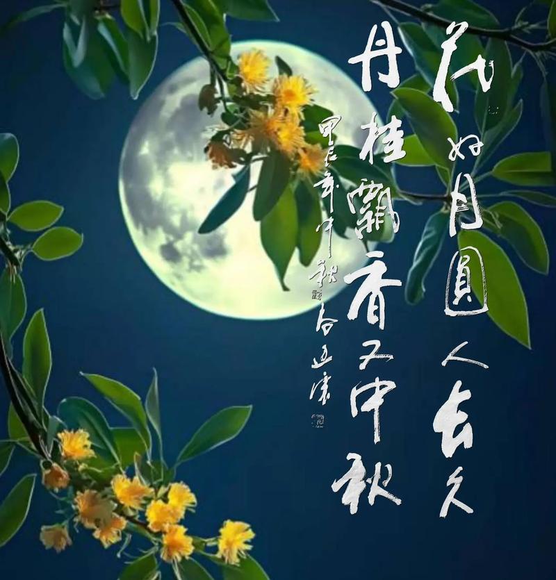 神州共明月佳节韵味浓