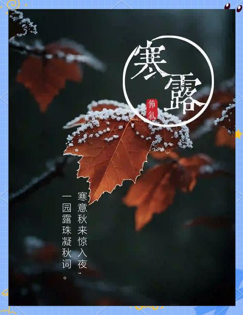 建信基金：投资正当“时”丨寒露惊晚秋，投资有暖意！