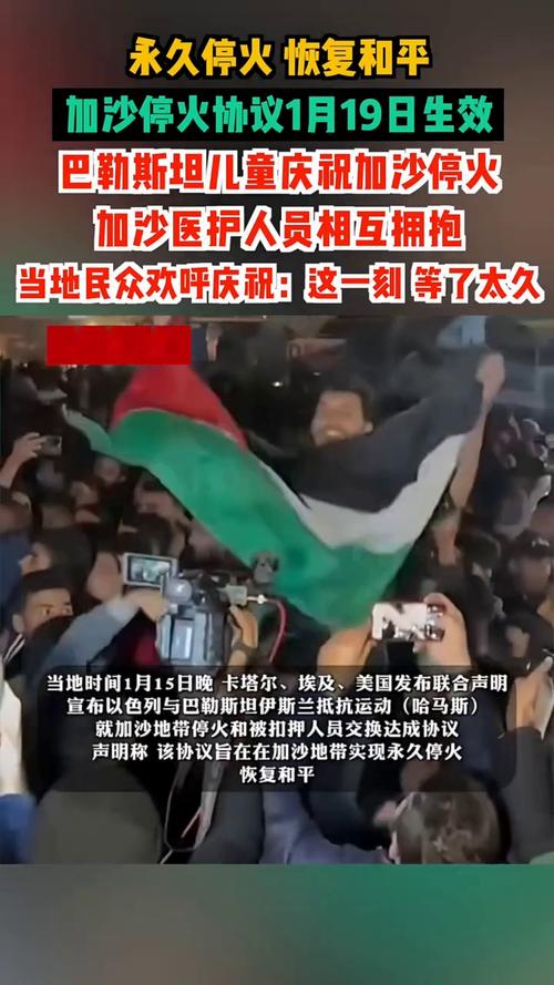 加沙停火协议附件首次公开
