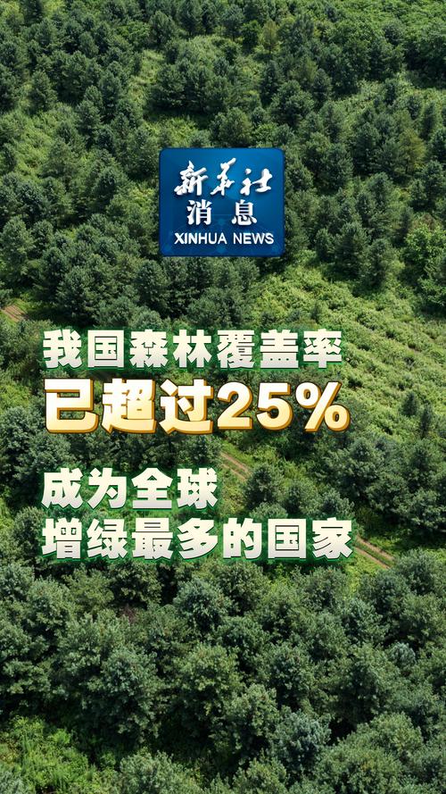 森林覆盖率从5%到近14%，“三北”工程荣获“全球技术成就林业奖”
