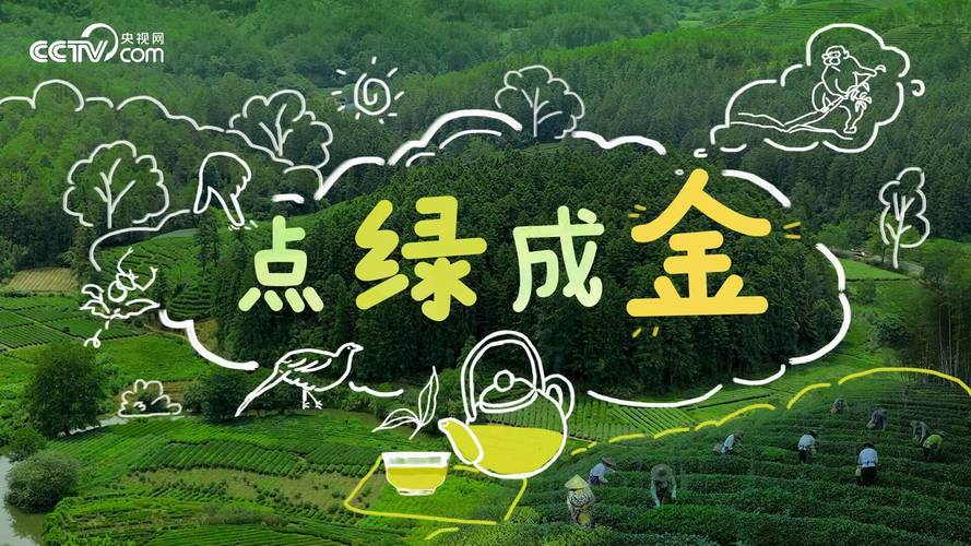 沙漠点绿成金——“沙漠银耳”循环产业，综合效益倍增