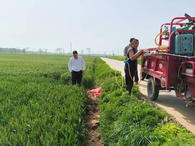 农业农村部启动实施奋战60天抗秋汛抢麦播促壮苗行动