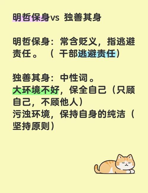 （进博故事）“独行快，众行远”谚语照进现实“四叶草”见证中尼合作行稳致远
