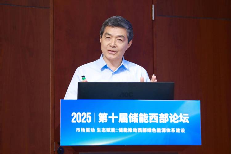 山东省能源局局长：疏导储能投资建设成本，保障项目合理收益