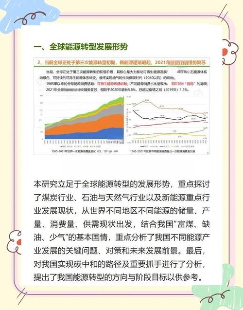 中国减排与新能源如何改变全球？德国评估员这样看丨世界观