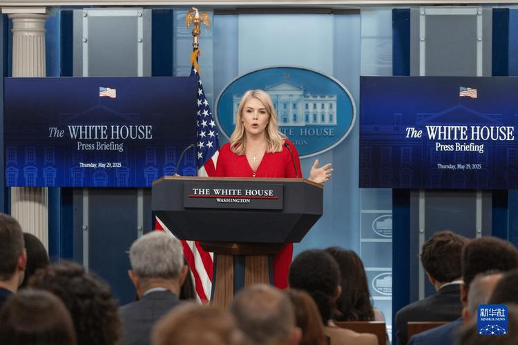 白宫官员：美国政府计划增加对关键矿产公司的持股