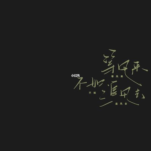 蔡志文与他的“不追风”哲学