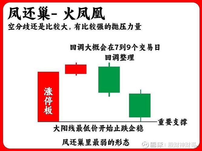 盘中必读|光伏概念震荡走强，钧达股份反包涨停