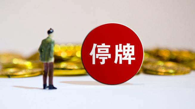 周末！突然停牌了！