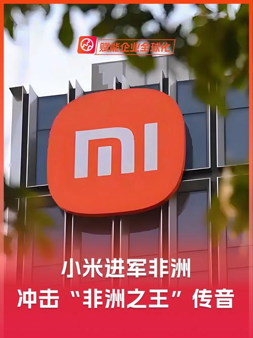 存储涨价冲击！“非洲手机之王”去年净利润预减30亿元