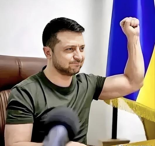乌克兰总统泽连斯基：美国等国家寻求乌克兰的安全支持
