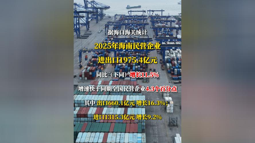 企业闯市场，何以路更宽（现场评论）——海南自贸港封关运作观察（下）