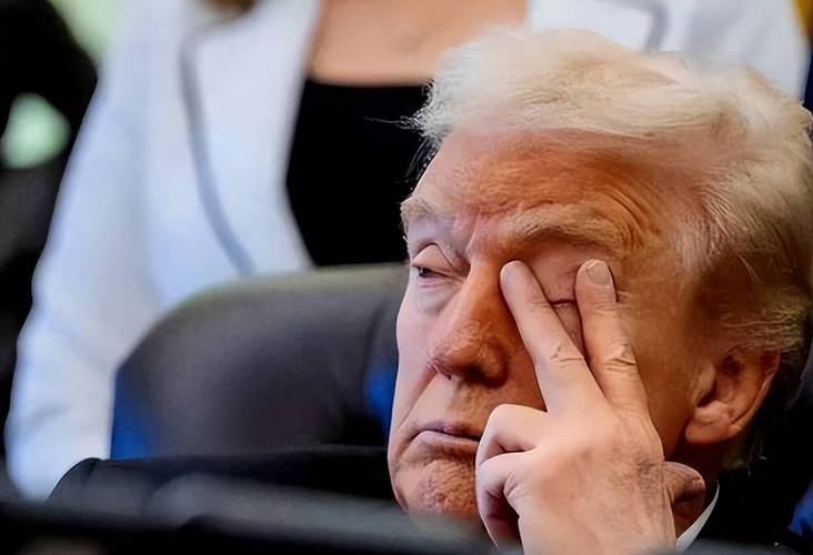 美国稀土CEO回应国会质疑:力挺特朗普政府16亿美元投资计划