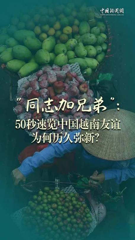 “同志加兄弟”：50秒速览中国越南友谊为何历久弥新？