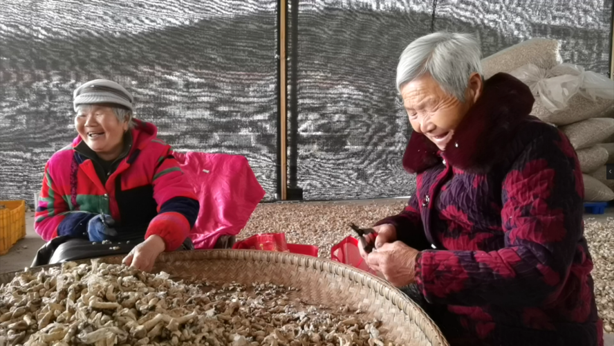 金观平:确保财政资金用在刀刃上